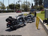 Harley Davidson Road King