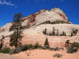 Mountain with few trees at Bruce Canyon